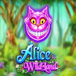 alice in wildland